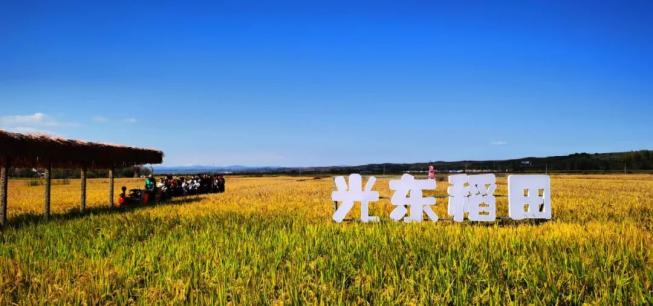 出行提示_延邊州公安交通管理部門發(fā)布出行指南_2025年國慶中秋假期交通出行安全提示