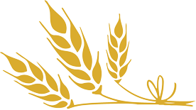 禁行_禁行標志牌_禁行扣幾分罰款多少