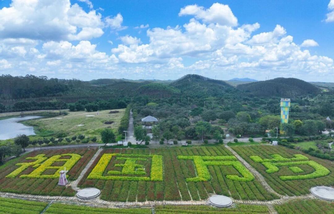 出行提示_欽州國慶中秋假期道路施工通告_欽州國慶中秋假期交通出行指南