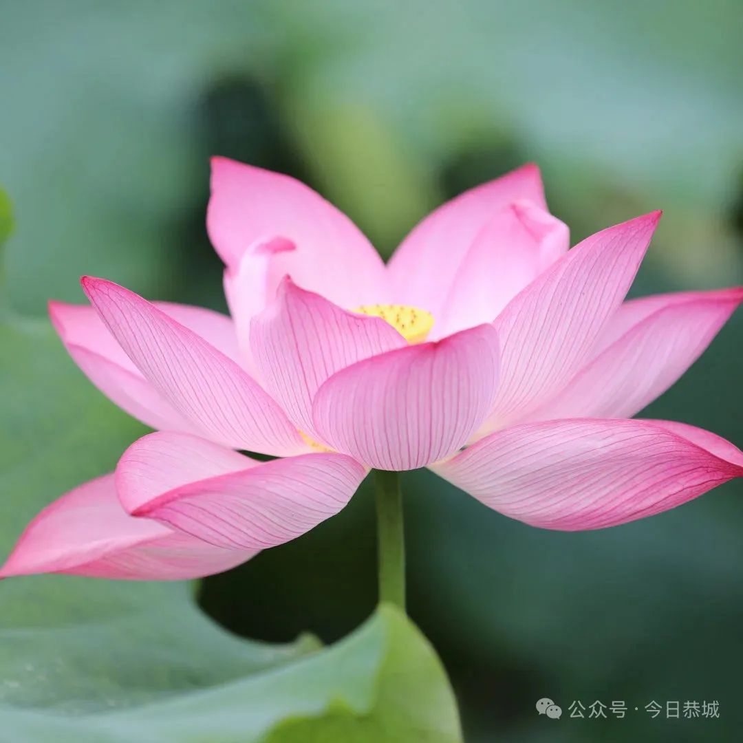 出行提示_桂林廣播與網(wǎng)絡(luò)音頻創(chuàng)新發(fā)展研討會_桂林中考出行提示