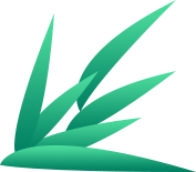 _出行提示_ 端午節(jié)銅仁出行安全指南 